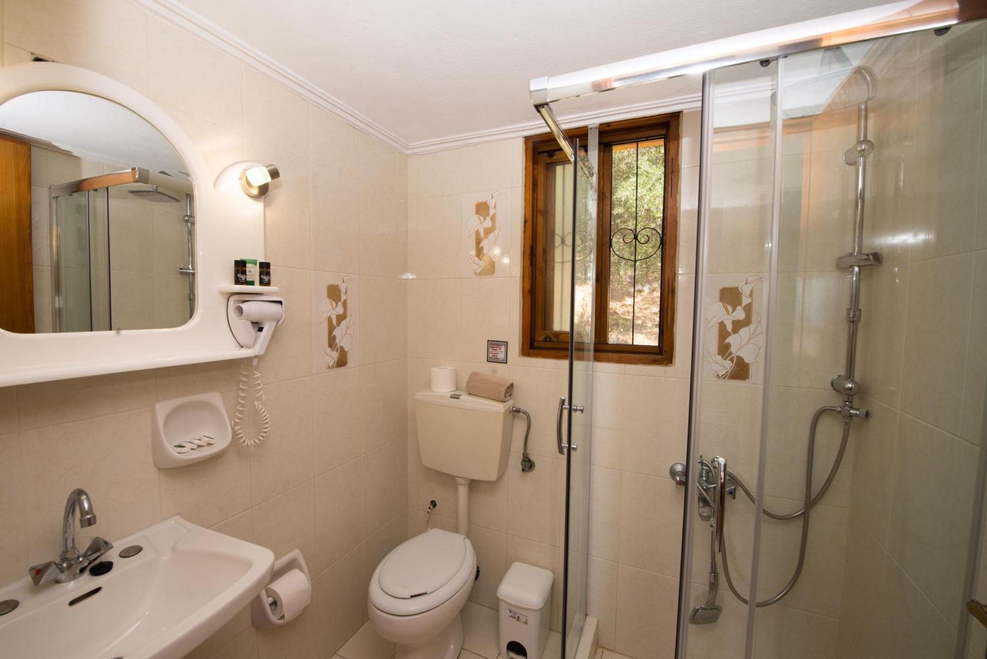 Dionysos Apartments Apraos Pokoj fotografie